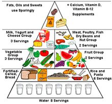 Food Pyramid